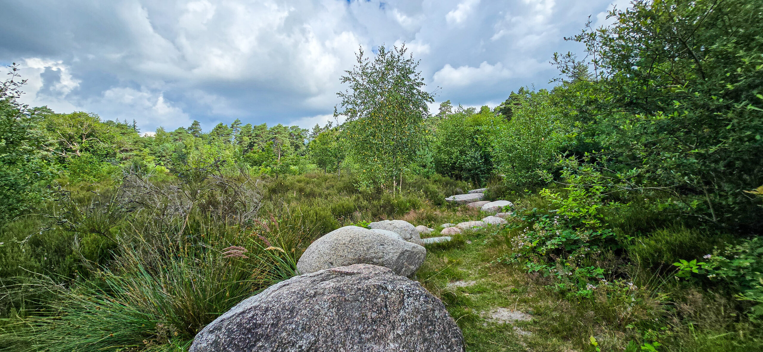 Belevingspad Drenthe